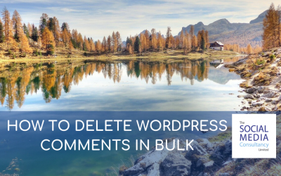 HOW TO DELETE WORDPRESS COMMENTS IN BULK