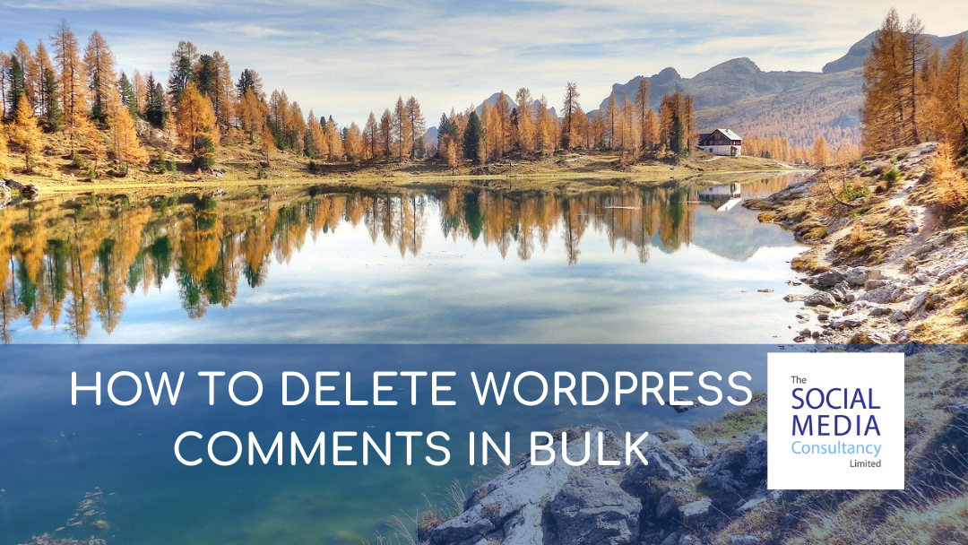 HOW TO DELETE WORDPRESS COMMENTS IN BULK - THE SOCIAL MEDIA CONSULTANCY LIMITED