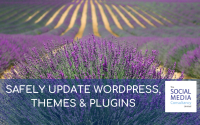 SAFELY UPDATE DIVI THEME, WORDPRESS AND PLUGINS