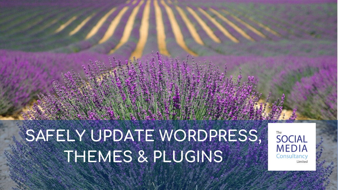 SAFELY UPDATE WORDPRESS THEMES PLUGINS - THE SOCIAL MEDIA CONSULTANCY LIMITED