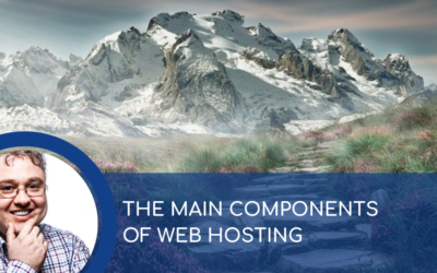 WHAT ARE THE MAIN COMPONENTS OF WEB HOSTING?