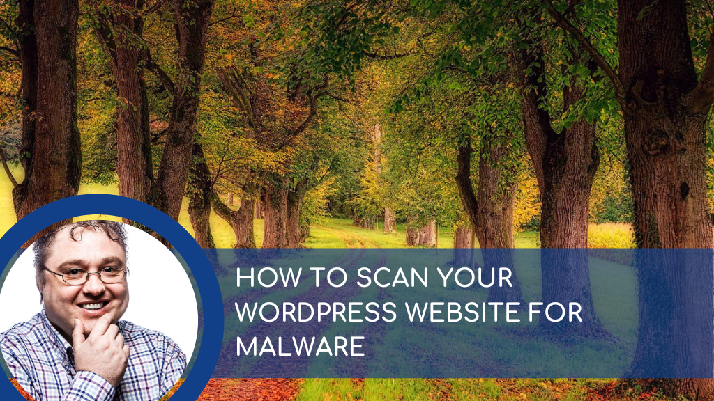How to Scan your WordPress website for Malware » The Social Media Consultancy Limited